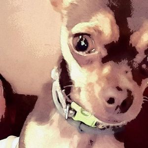 Meet your Posher, Don